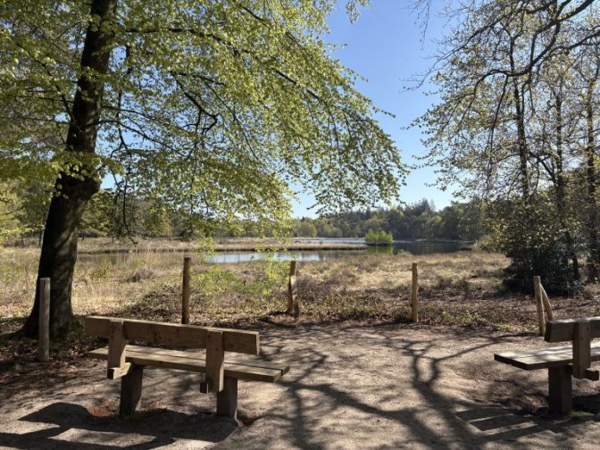 Succesvolle tweede Brugada lotgenotenwandeling in De Lage Vuursche